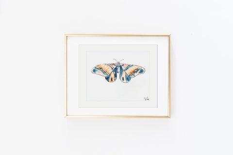 French Apricot Moth - Watercolor Wings Collection