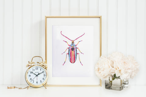 Longhorn Beetle 2 - Little Bugs Collection