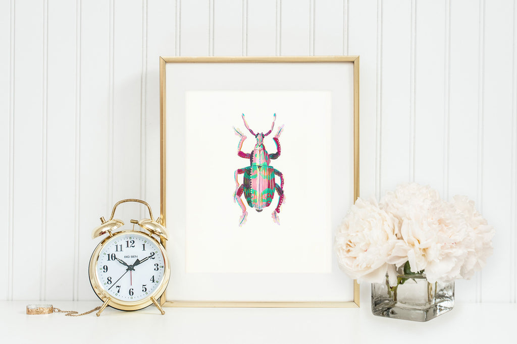 Eupholus Beetle 2 - Little Bugs Collection