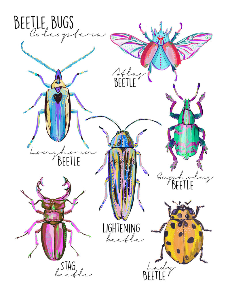 Beetle Print 1 - Little Bugs Collection