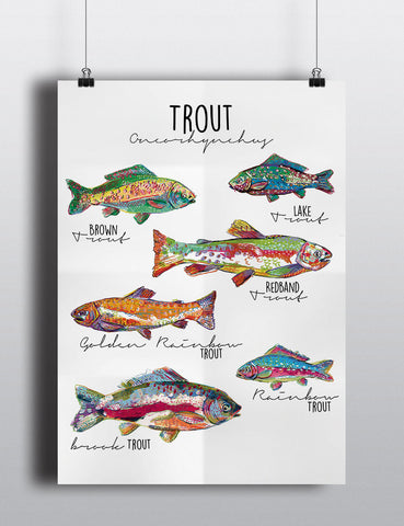 Trout Poster - Mixed Fish Large Print - Little Fishes Collection