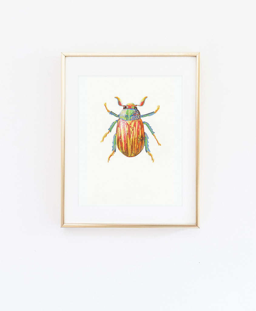 Flower Chafer Beetle 2 - Little Bugs Collection