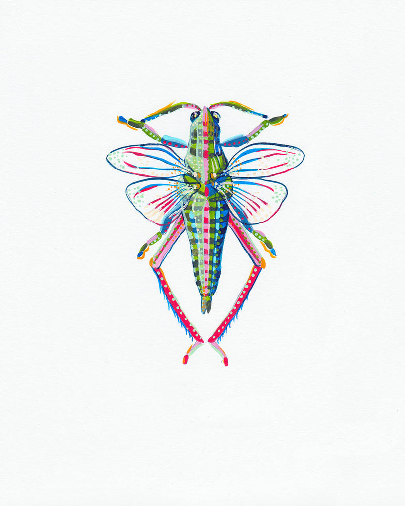 Grasshopper 2 - Little Bugs Collection