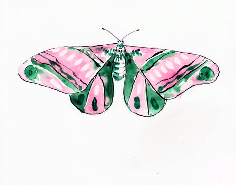 Sap Melon Moth - Watercolor Wings Collection
