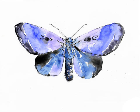 Sapphire Velvet Luna Moth - Watercolor Wings Collection