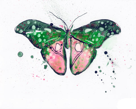 Watermelon Twilight Luna Moth - Watercolor Wings Collection