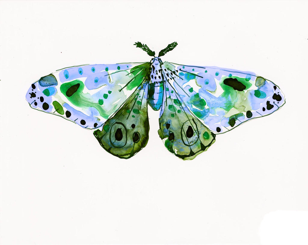 Sea Dawn Moth - Watercolor Wings Collection