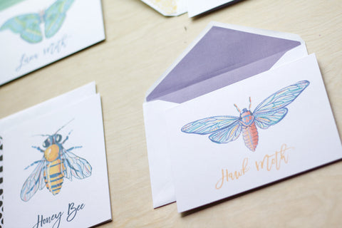 Mixed Little Bugs Greeting Card Set 1