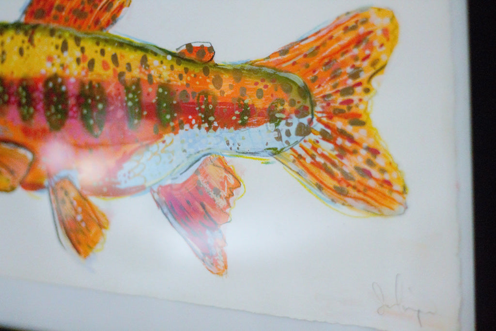 Colorado Cutthroat Trout - Little Fishes Collection