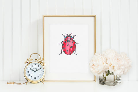 Lady Bug 1 - Little Bugs Collection