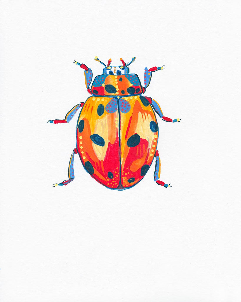 Lady Bug 2 - Little Bugs Collection