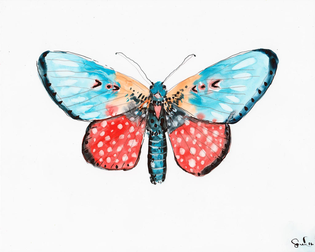 Leopard Sky Luna Moth - Watercolor Wings Collection