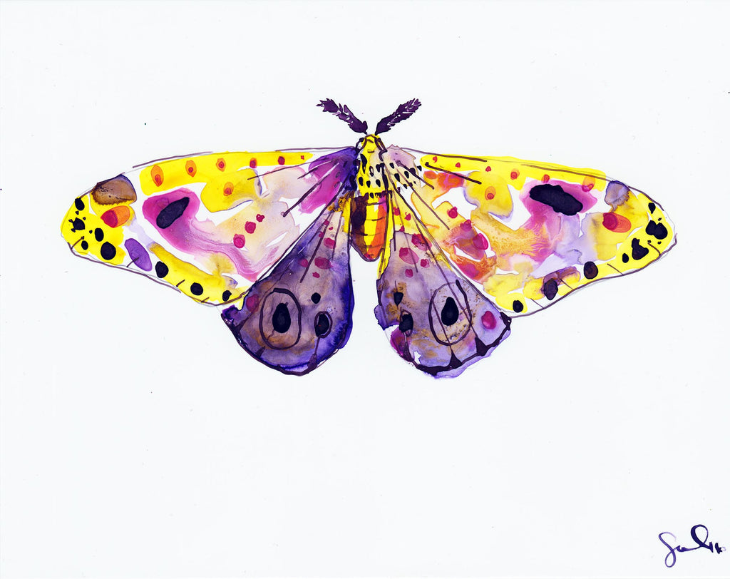 Plum Dawn Moth - Watercolor Wings Collection