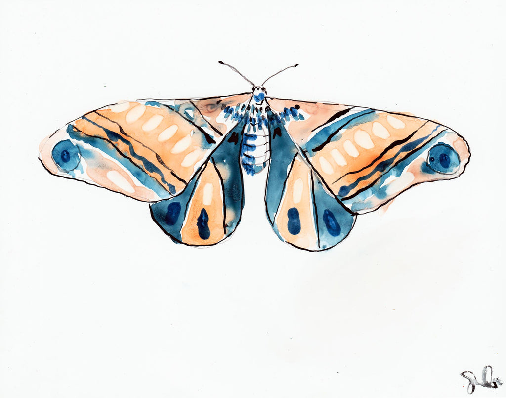 French Apricot Moth - Watercolor Wings Collection