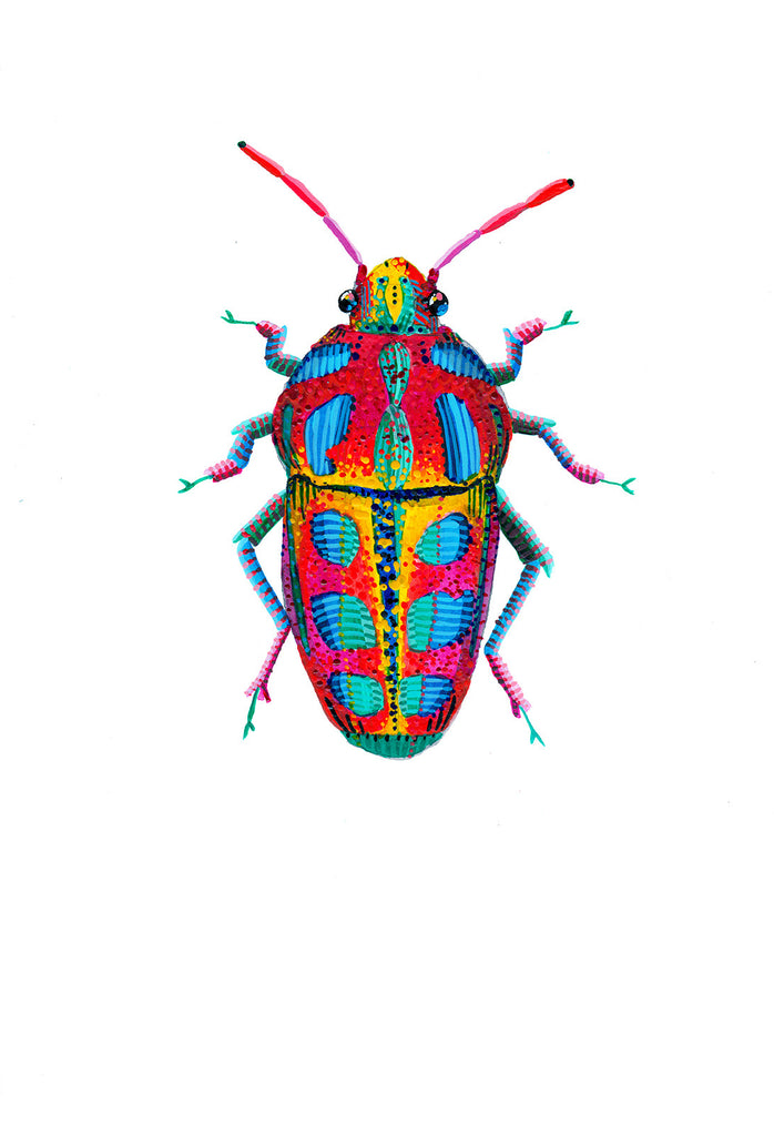 Rainbow Shield Bug 1 - Little Bugs Collection