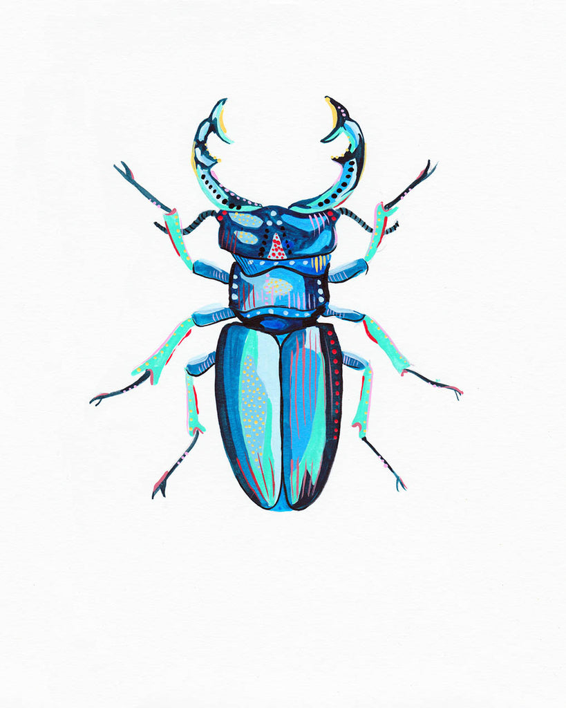 Stag Beetle 2 - Little Bugs Collection