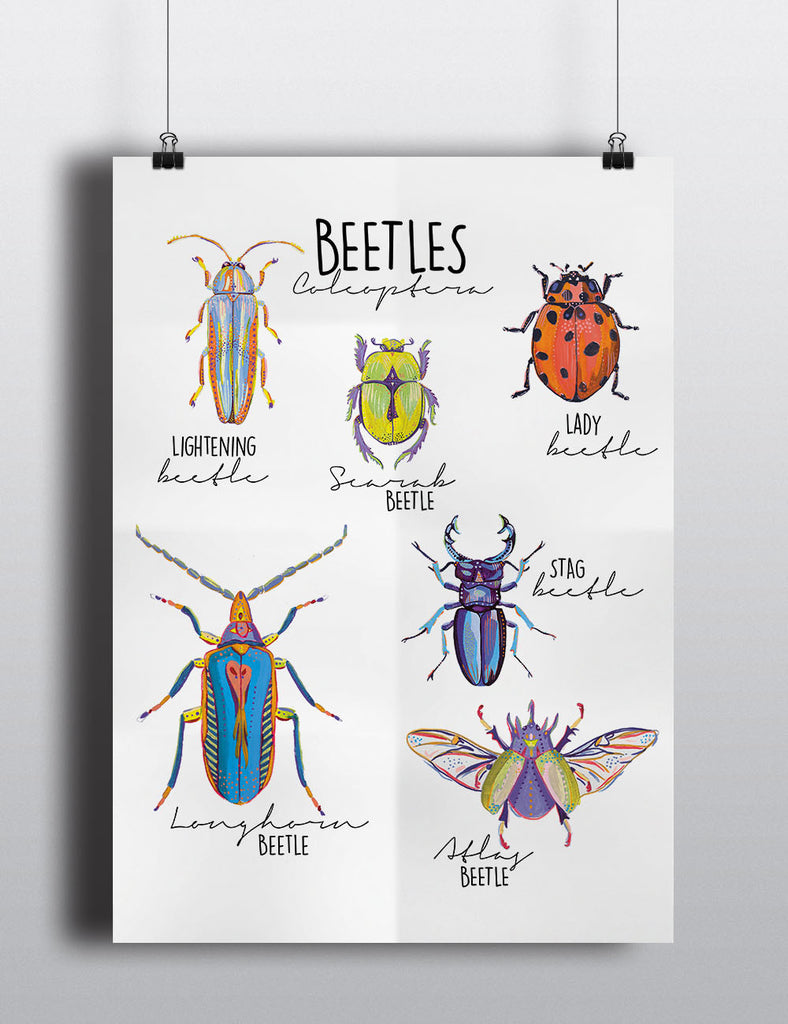 Beetle Poster - Mixed Bug Large Print - Little Bugs Collection