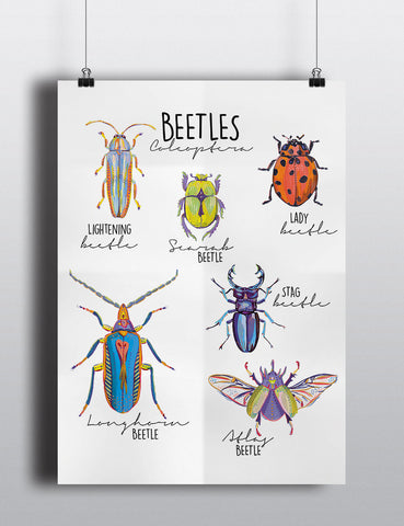 Beetle Poster - Mixed Bug Large Print - Little Bugs Collection