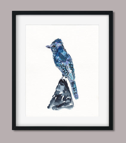 Blue Jay - Aviary Collection