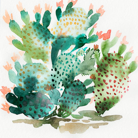 Watercolor Cacti 1 - Cactus Collection
