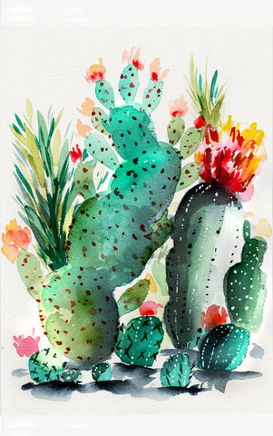 Watercolor Cacti 4 - Cactus Collection