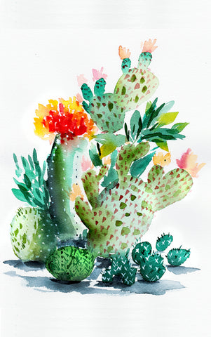 Watercolor Cacti 5 - Cactus Collection